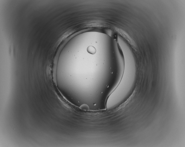 X0000116121225200911301320