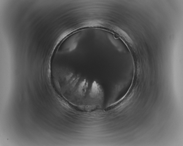 X0000116121226200911301320