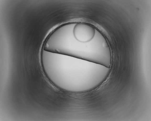 X0000116121230200911301320