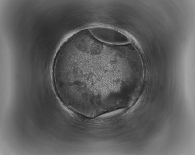 X0000116121231200911301320