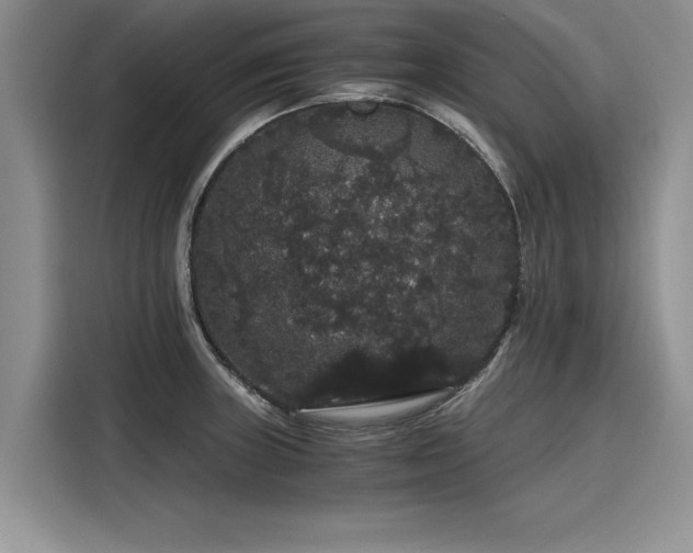 X0000116121235200911301320