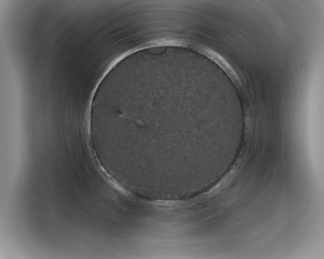 X0000116121236200911301320