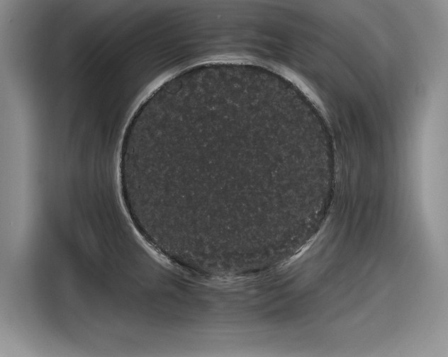 X0000116121237200911301320