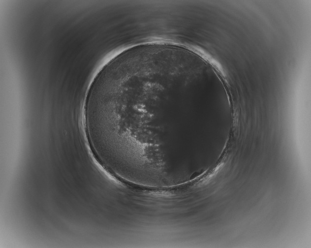 X0000116121239200911301320