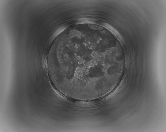 X0000116121241200911301321