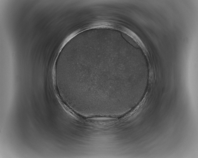 X0000116121242200911301321