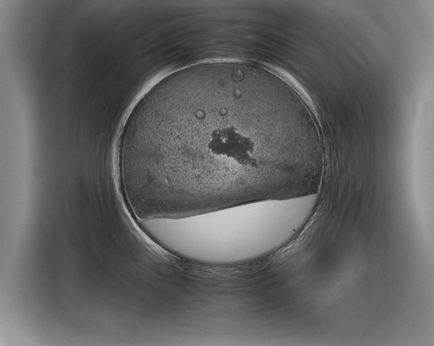 X0000116121243200911301321