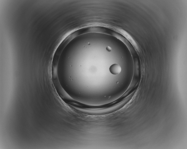 X0000116121244200911301321