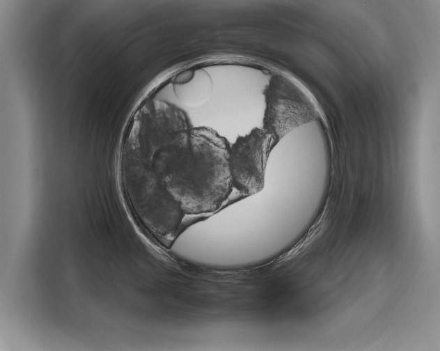 X0000116121245200911301321