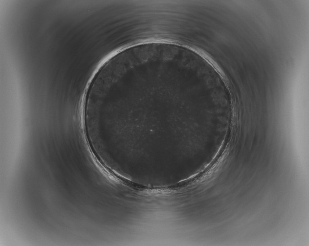 X0000116121246200911301321