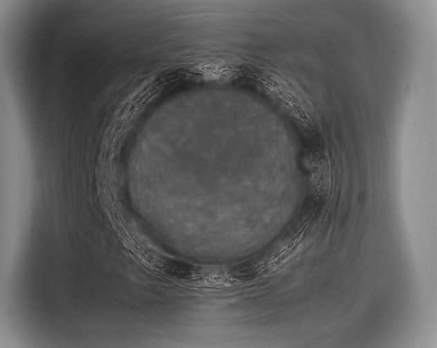 X0000116121249200911301320