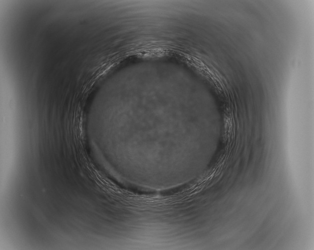 X0000116121250200911301320