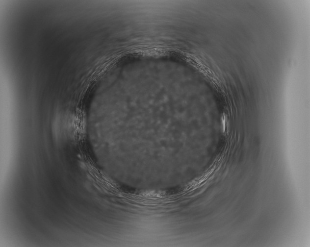 X0000116121251200911301320