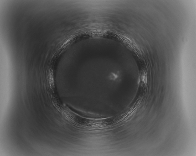 X0000116121252200911301320