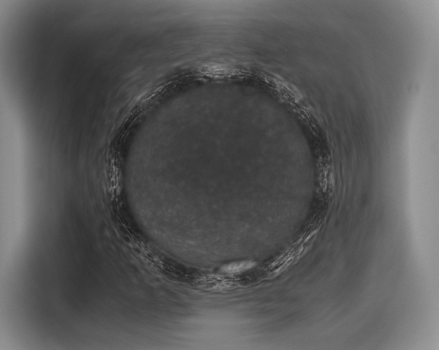 X0000116121253200911301320