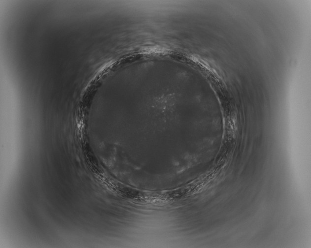 X0000116121254200911301320