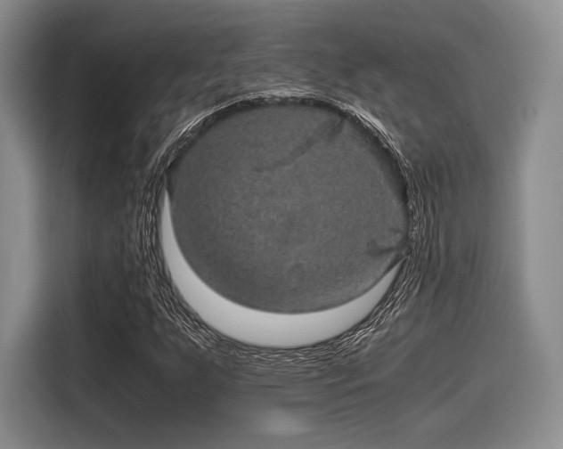 X0000116121255200911301320