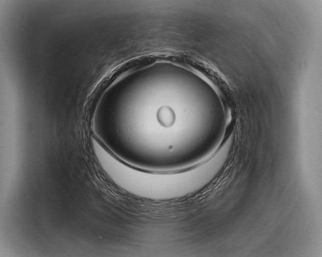 X0000116121256200911301320