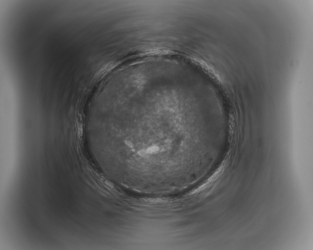 X0000116121257200911301320