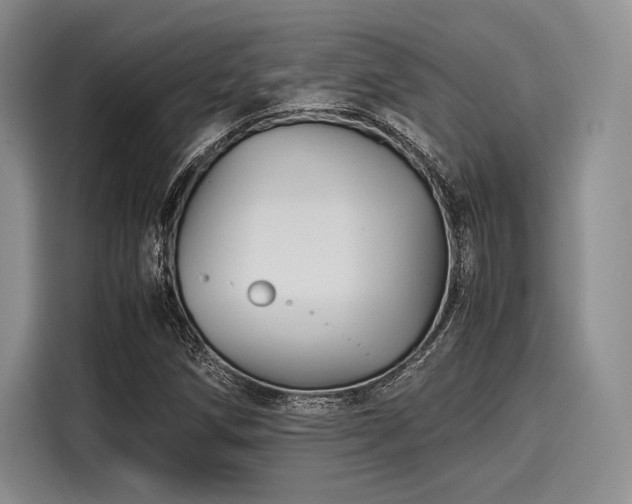 X0000116121258200911301320