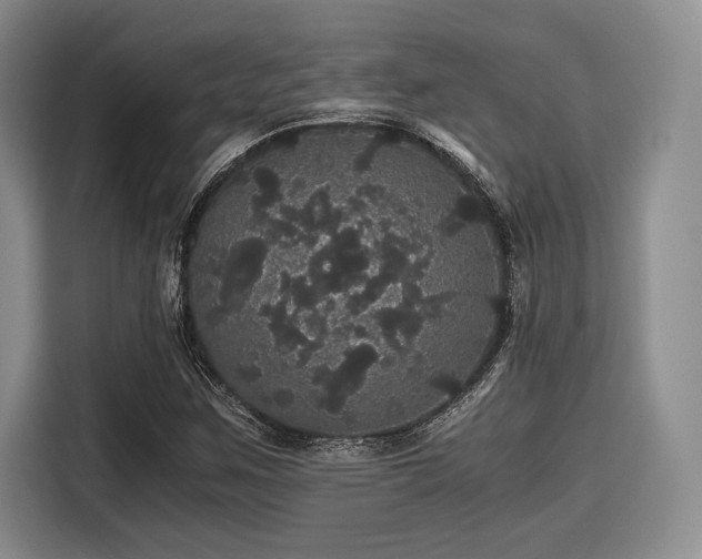 X0000116121259200911301320