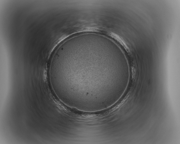 X0000116121260200911301320