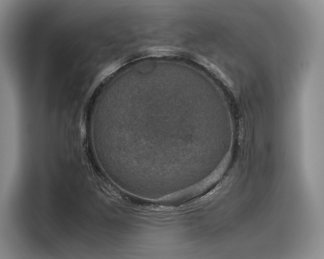 X0000116121261200911301320