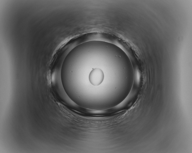 X0000116121262200911301320