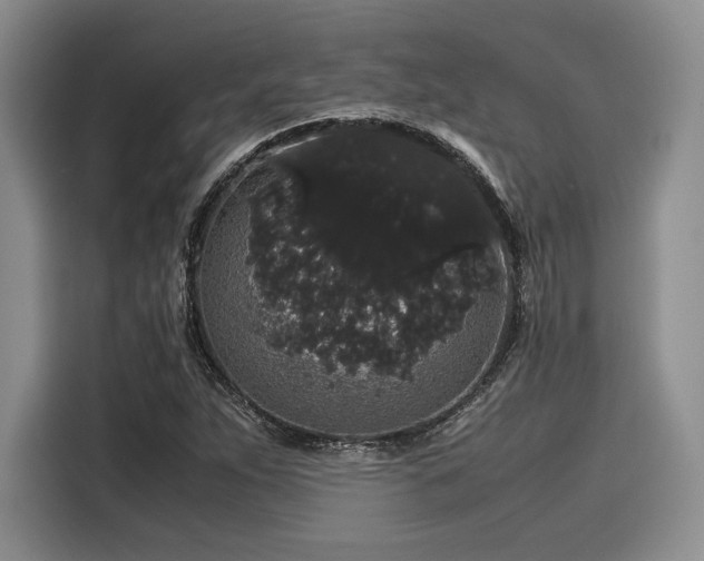 X0000116121263200911301320