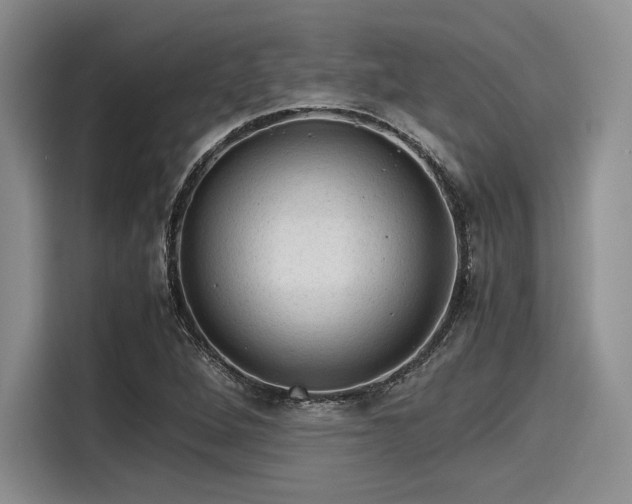 X0000116121264200911301320