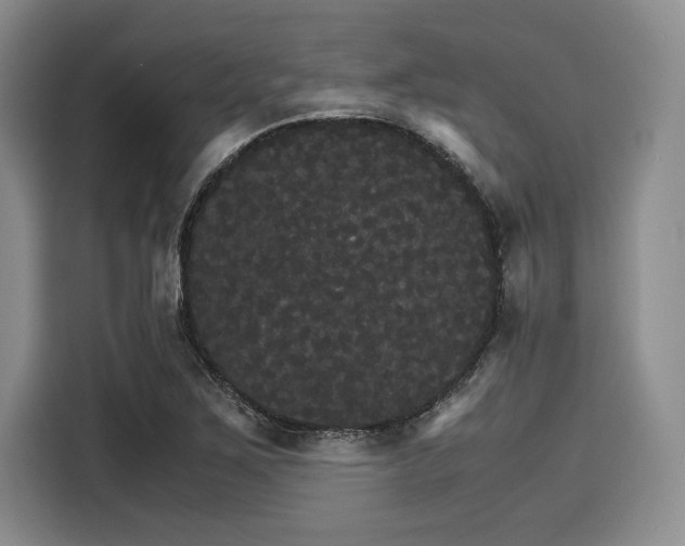 X0000116121267200911301320