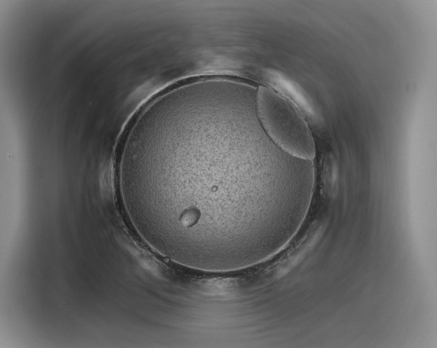 X0000116121268200911301320