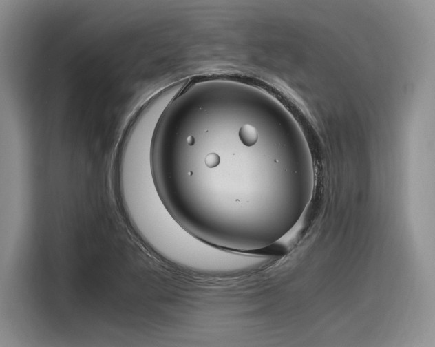 X0000116121269200911301320