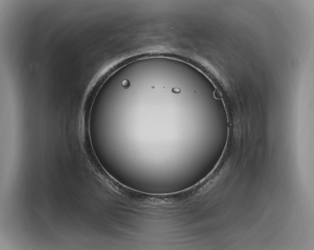 X0000116121270200911301320