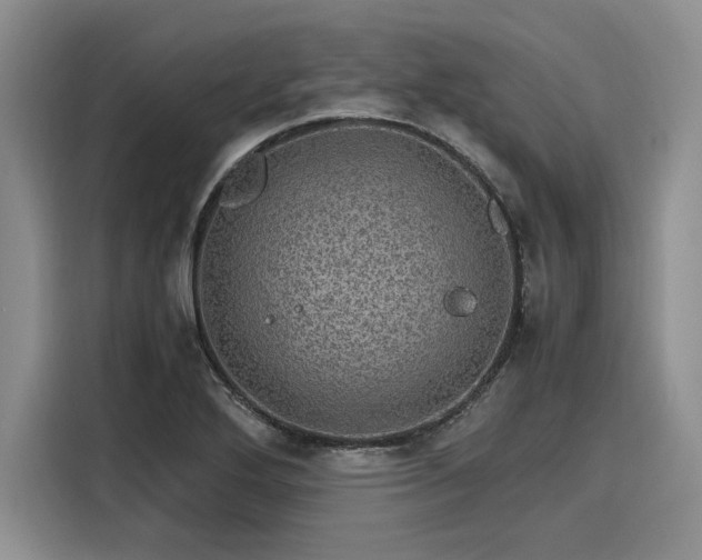 X0000116121272200911301320