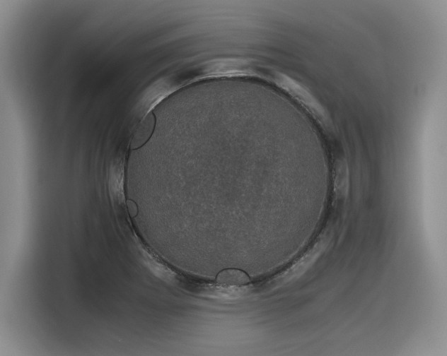 X0000116121273200911301320