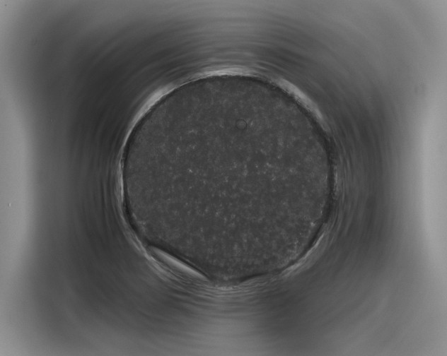 X0000116121274200911301320