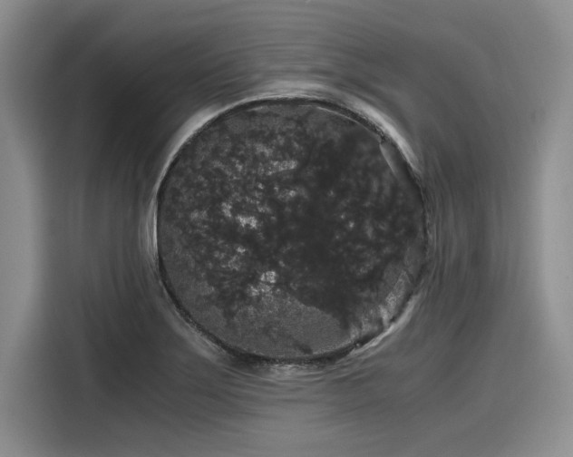 X0000116121275200911301320