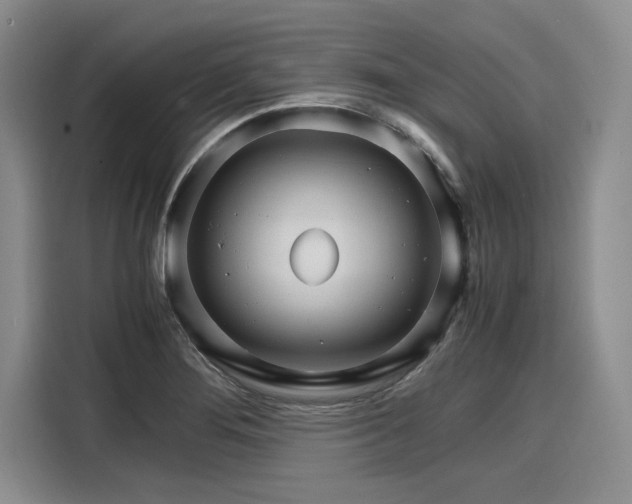 X0000116121276200911301320