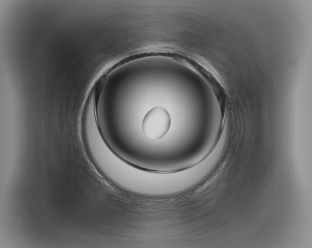 X0000116121277200911301320