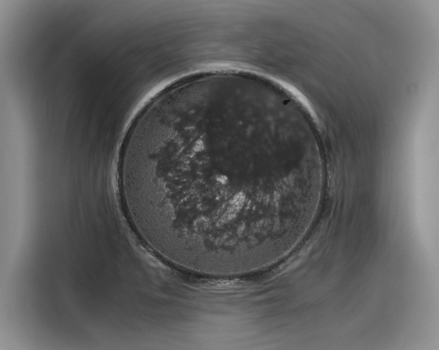 X0000116121279200911301320