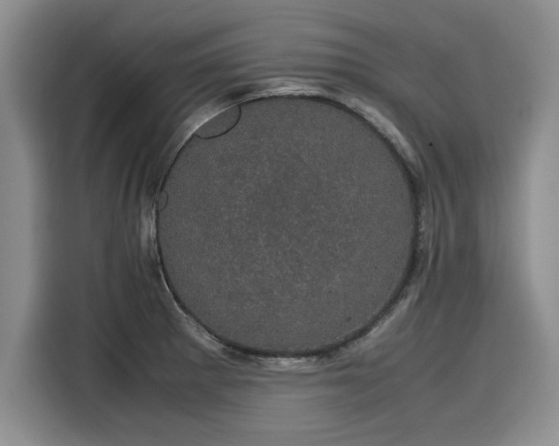 X0000116121281200911301320