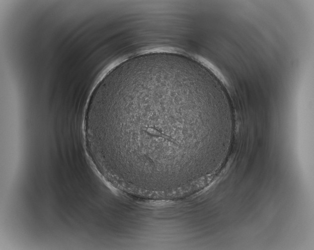 X0000116121282200911301320