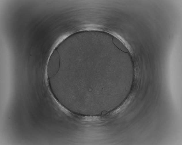 X0000116121285200911301320