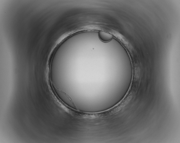 X0000116121286200911301319