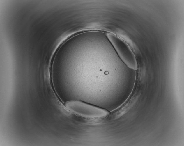 X0000116121288200911301319