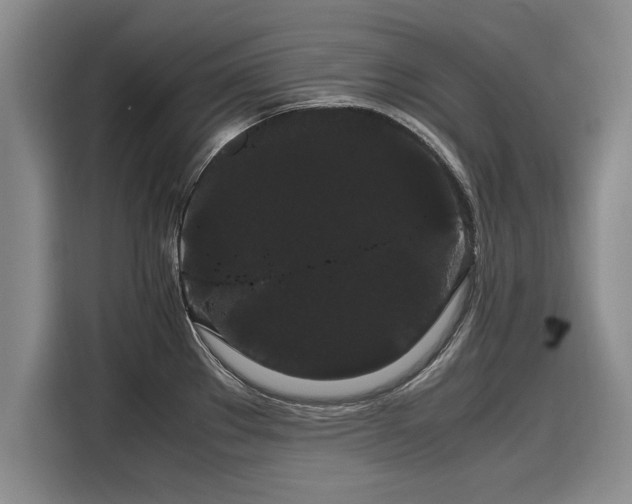 X0000116121289200911301319