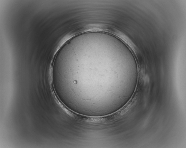 X0000116121290200911301319