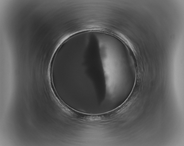 X0000116121291200911301319