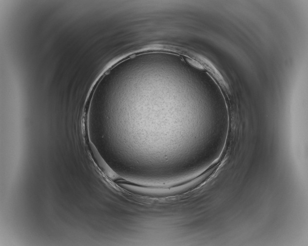 X0000116121292200911301319